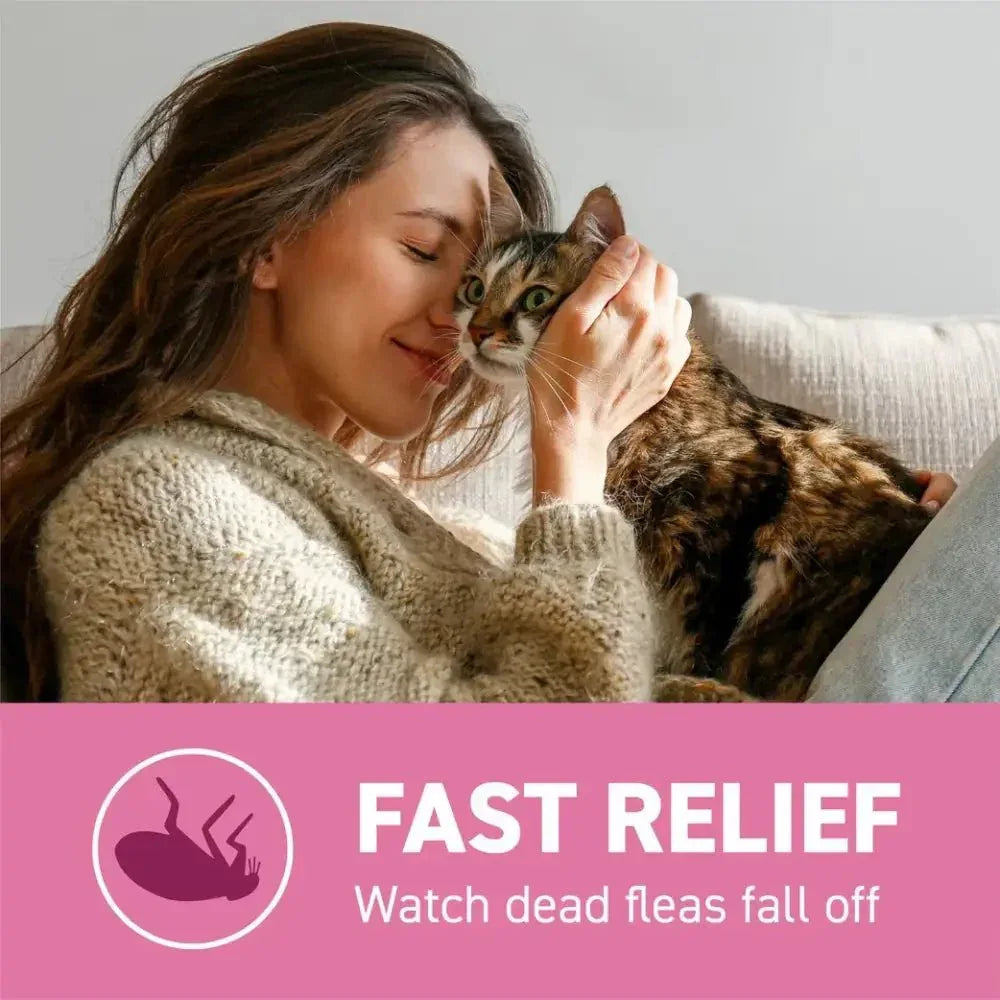 Capstar Cat Flea Tablets Without Prescription 11.4 Mg Each, 6 Tablets - Talis Us