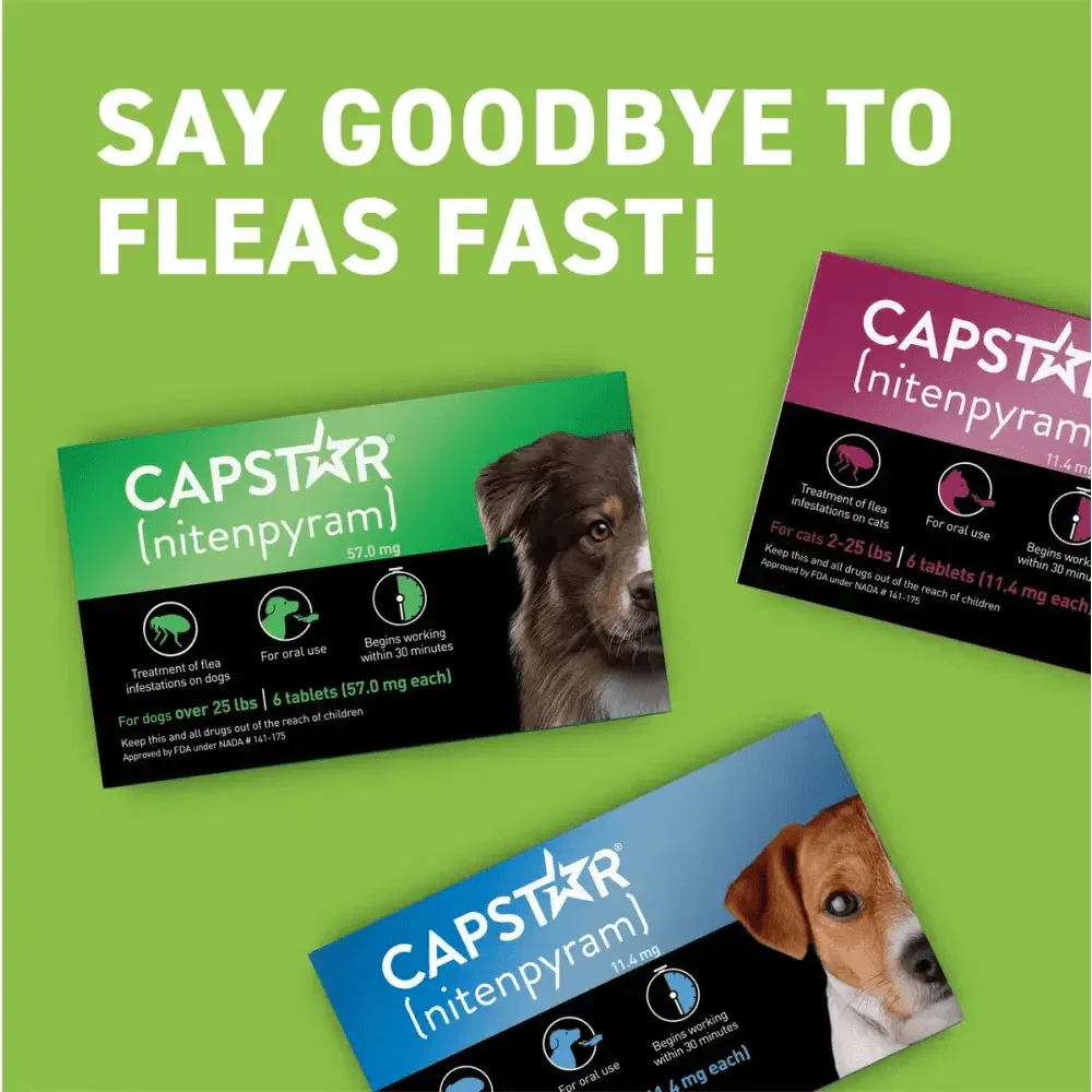 Capstar Flea Tablet for Large Dogs - Fast - Acting Treatment 57 Mg Each, 6 Tablets - Talis Us
