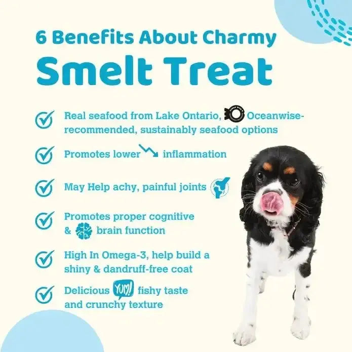 Charmy Pet Lake Smelt Dog Treats 3.8 oz - Talis Us