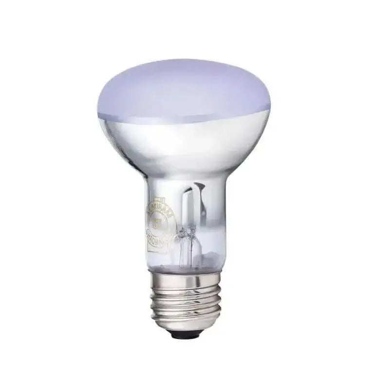 Chromalux® Full Spectrum R20 Frosted 60W Chromalux