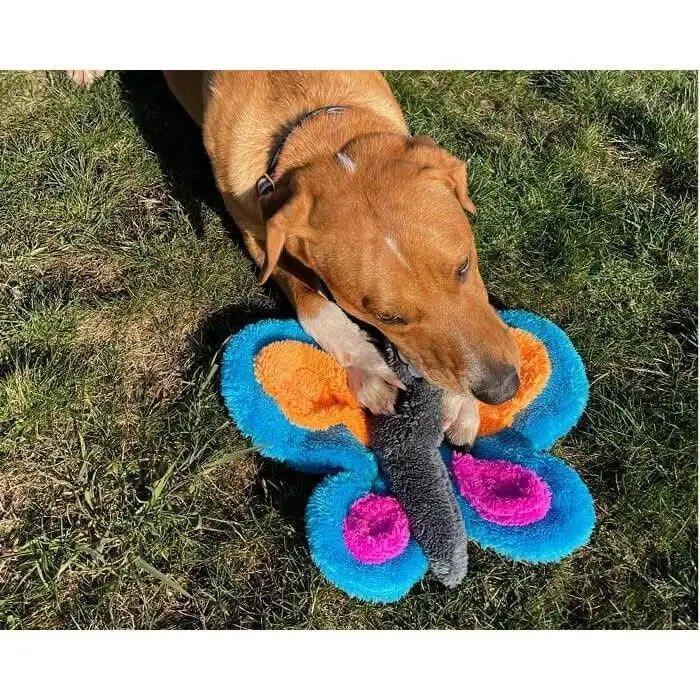 Cycle Dog Duraplush Butterfly (Assorted Colors) - Talis Us