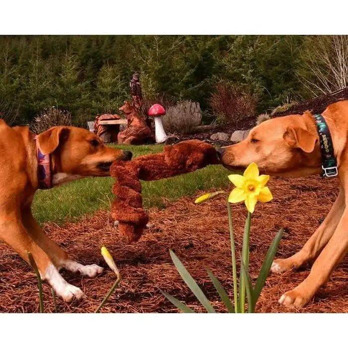 Cycle Dog Duraplush Springy Squirrel Dog Toy - Talis Us