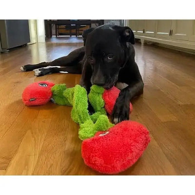 Cycle Dog Duraplush Vine of Tomatoes Dog Toys - Talis Us