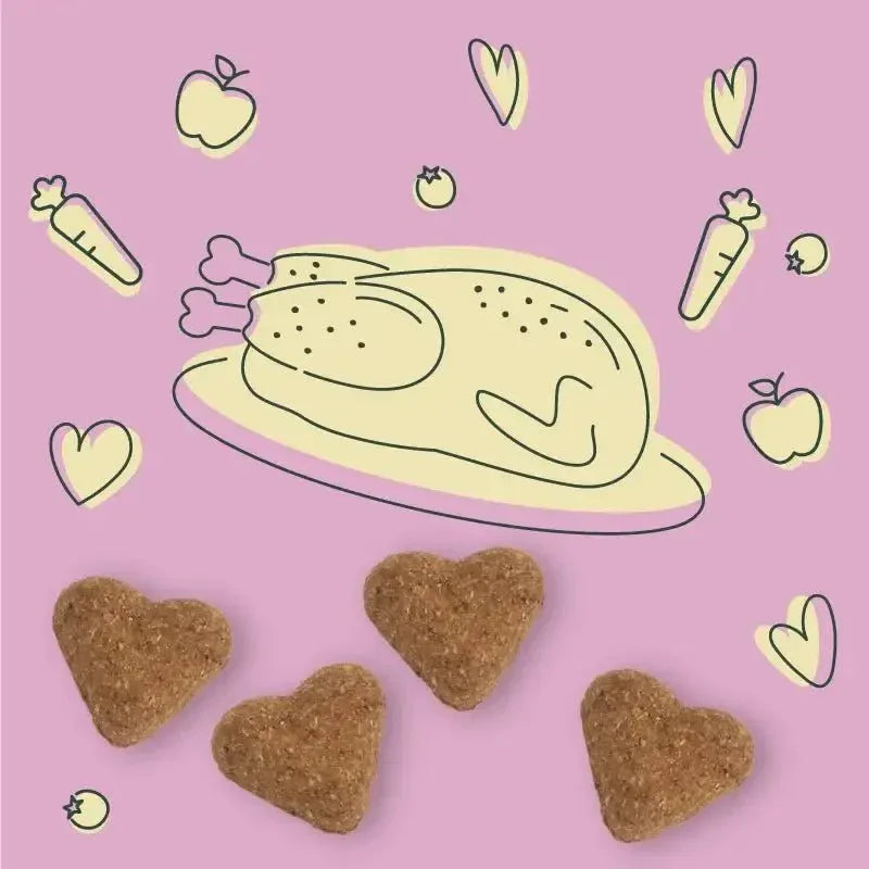 Darford Soft Baked Deliciously Ducky Dog Treats - Talis Us