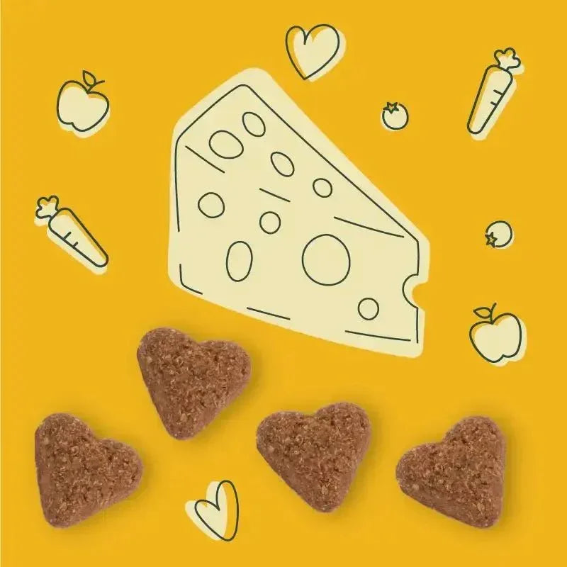 Darford Soft Baked Super Cheesy Dog Treats - Talis Us