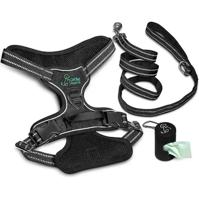 Dog Harness Walking Kit and Leash Set - Talis Us