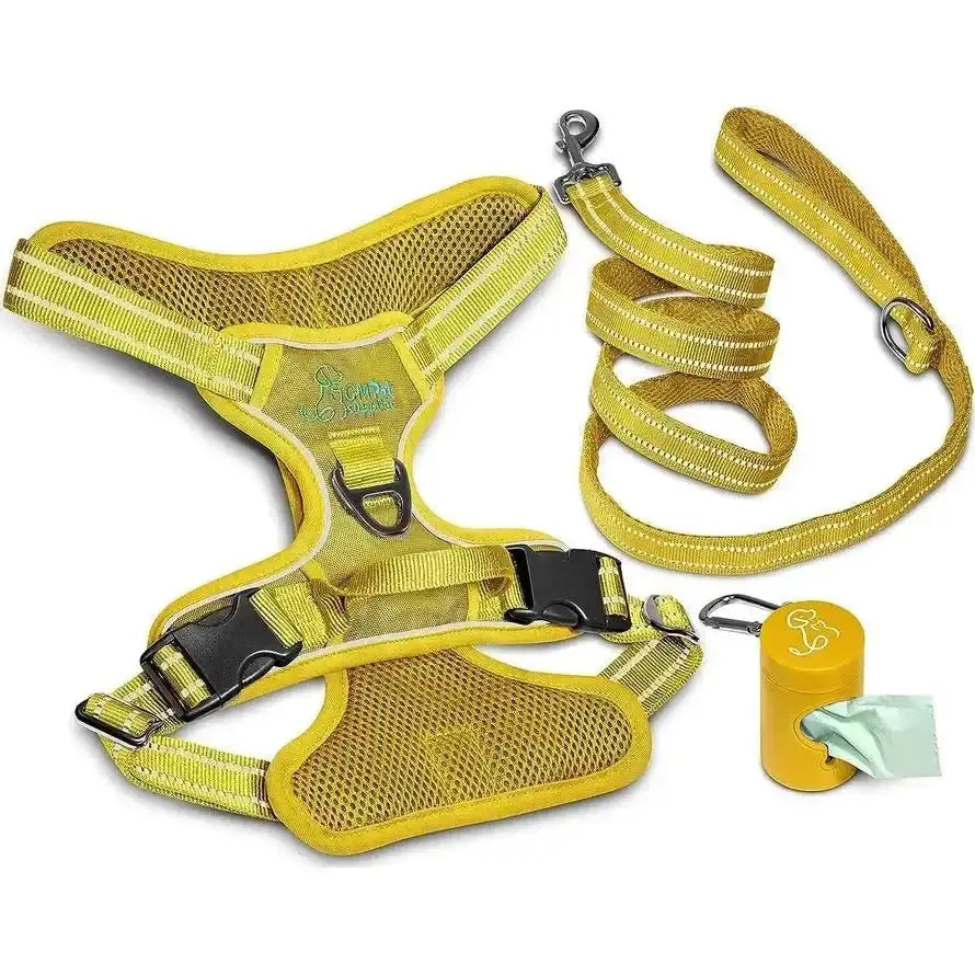 Dog Harness Walking Kit and Leash Set - Talis Us