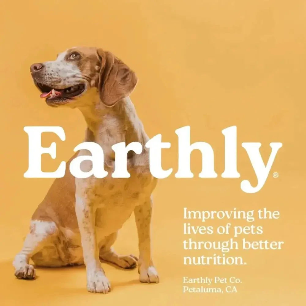 Earthbones Dental Chews For Dogs - Talis Us