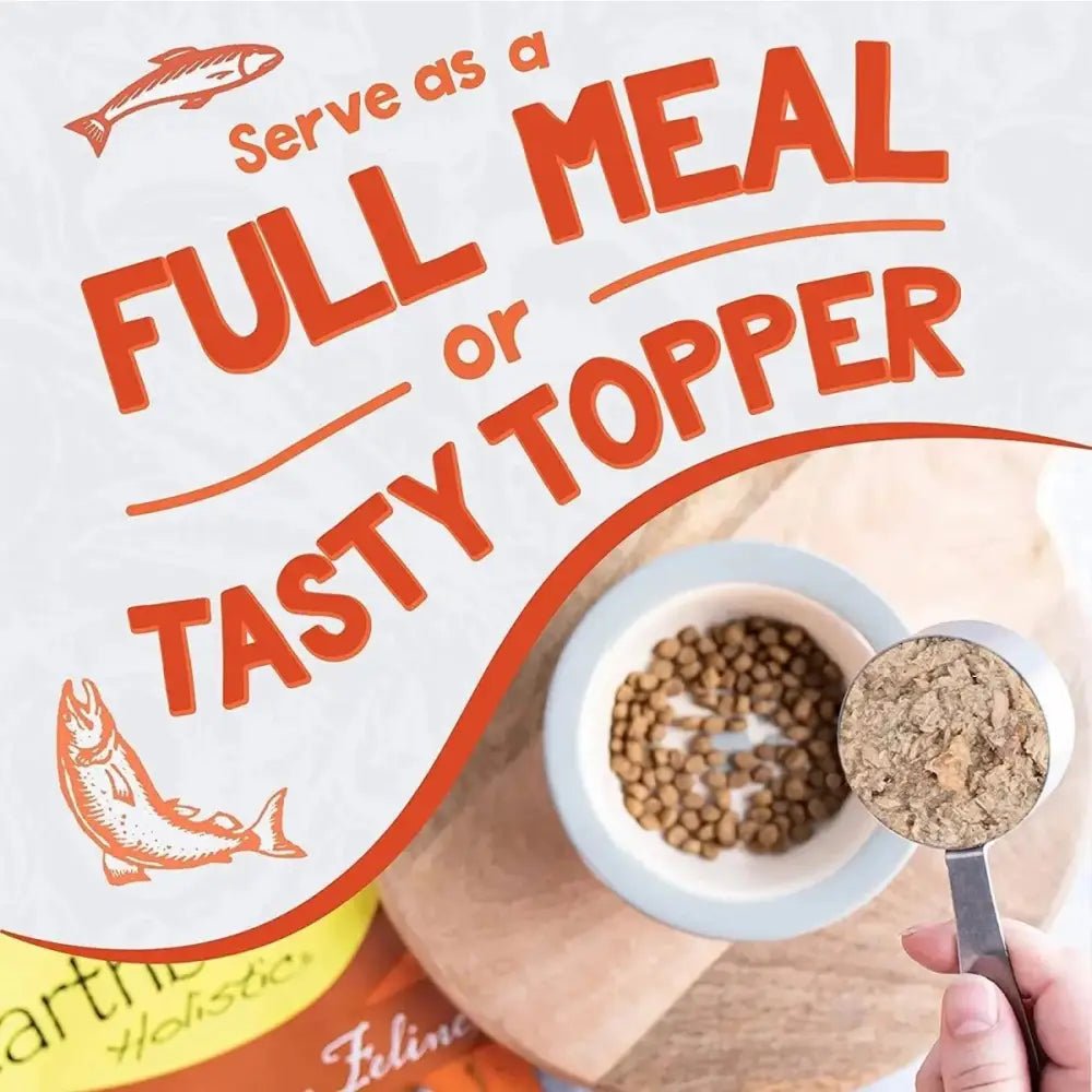 Earthborn Holistic Grain Free Catalina Catch Wet Cat Food - Talis Us