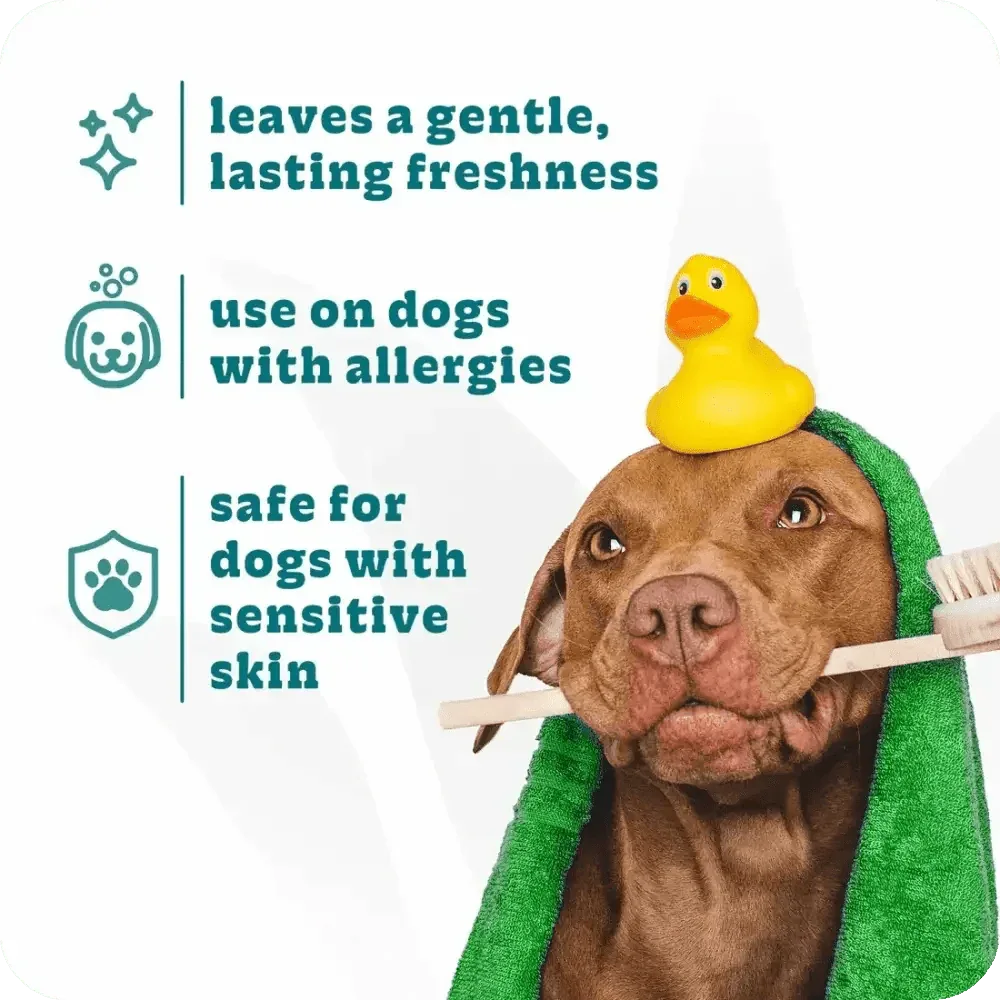 Espree 2in1 Hypoallergenic Dog Shampoo 20 oz - Talis Us