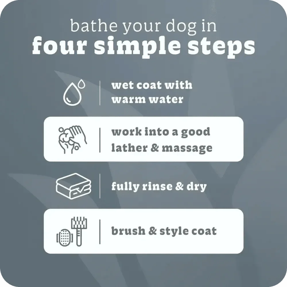 Espree 2in1 Intense Odor Neutralizer Dog Shampoo 20 oz - Talis Us