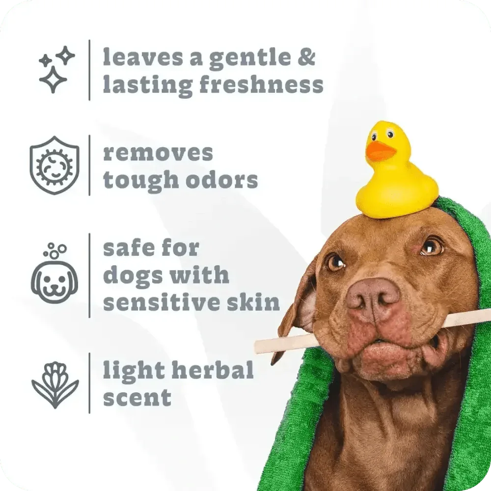 Espree 2in1 Intense Odor Neutralizer Dog Shampoo 20 oz - Talis Us