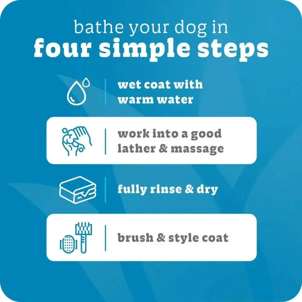 Espree 2in1 Simple Shed Dog Shampoo 20 oz - Talis Us