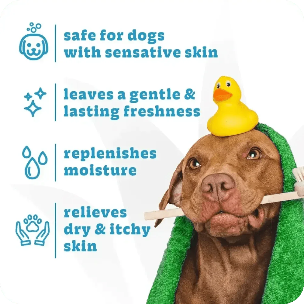 Espree 2in1 Simple Shed Dog Shampoo 20 oz - Talis Us