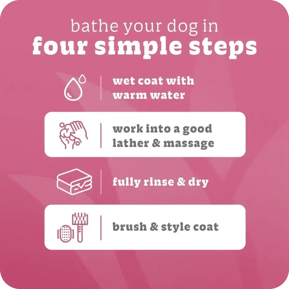 Espree 2in1 Simple Sooth Dog Shampoo - Talis Us
