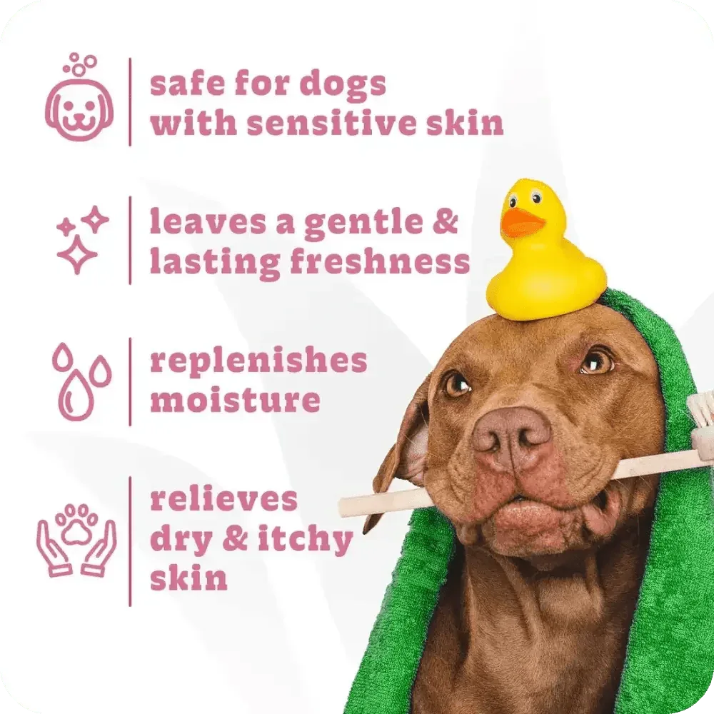 Espree 2in1 Simple Sooth Dog Shampoo - Talis Us