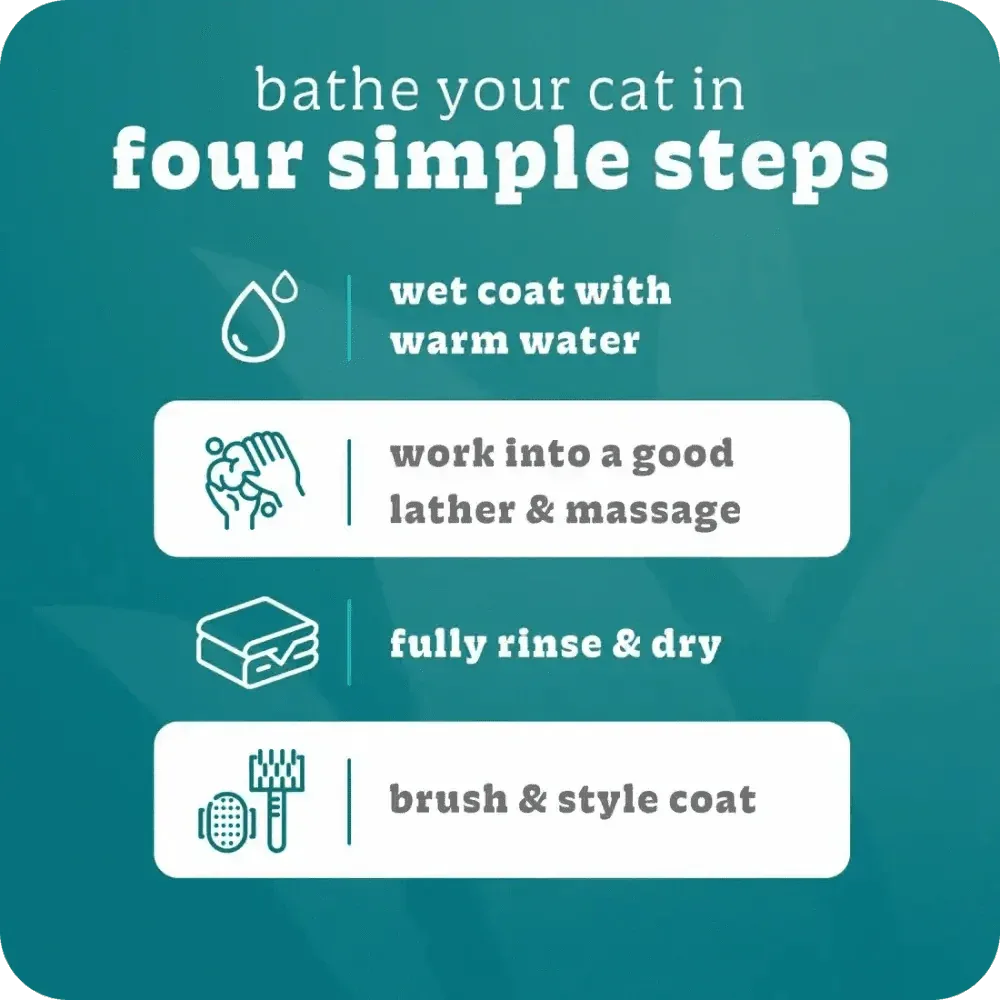 Espree Hypoallergenic Cat Shampoo 20 oz - Talis Us