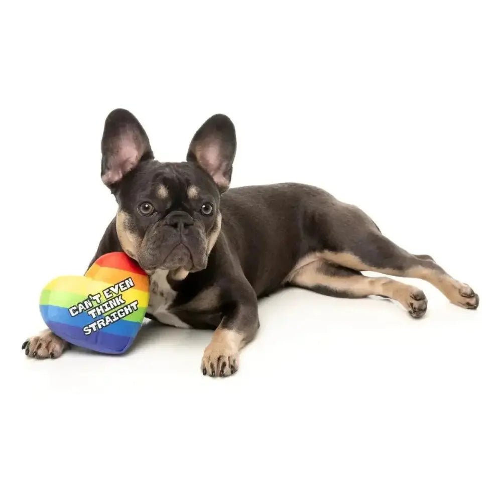FuzzYard Can't Think Straight Plush Dog Toy - Talis Us