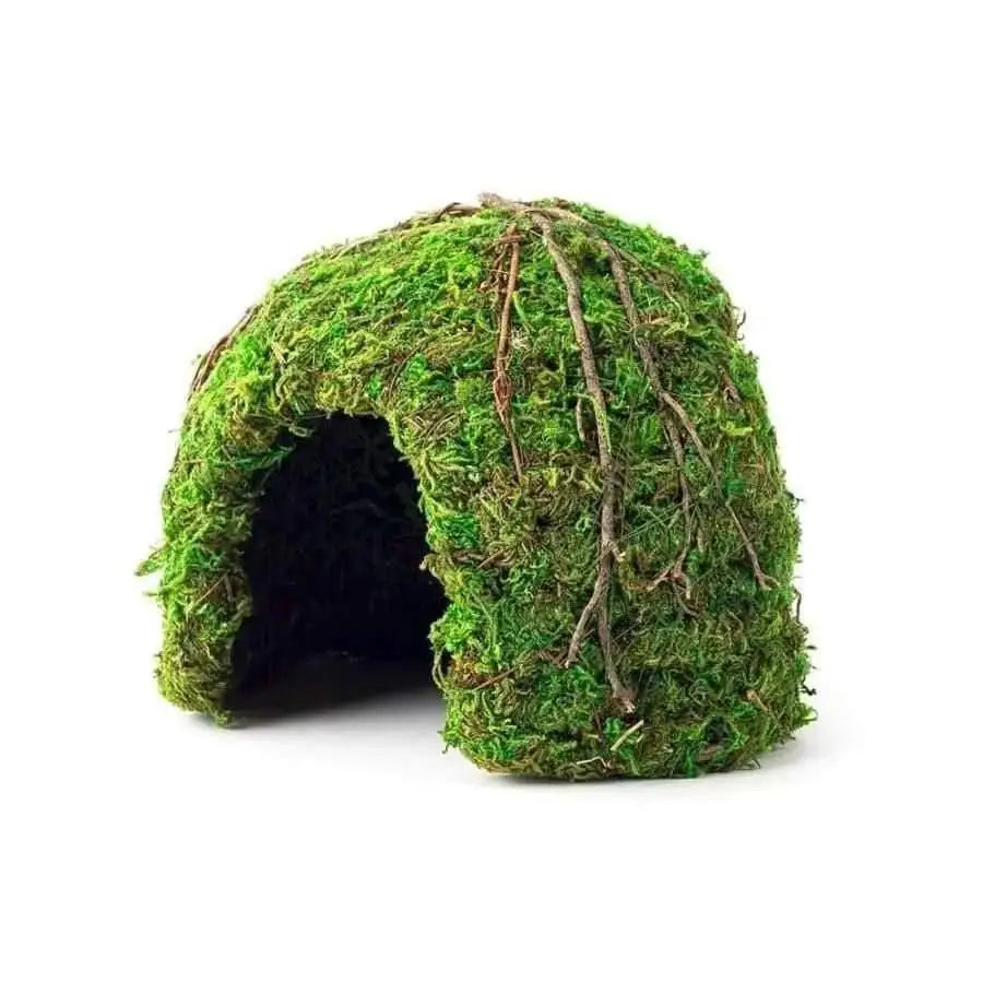 Galapagos Mossy Dome Terrarium Hideaway Dome Fresh Green Galapagos CPD