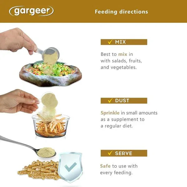 Gargeer Desert Grassland Tortoise Salad Topper - Talis Us