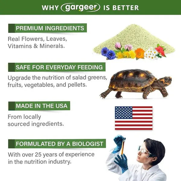 Gargeer Forest Tortoise Salad Topper - Talis Us
