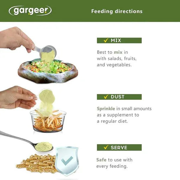 Gargeer Forest Tortoise Salad Topper - Talis Us