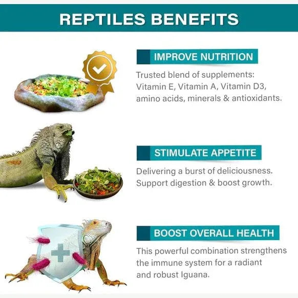 Gargeer Iguana Salad Topper - Premium Food Supplement - Talis Us
