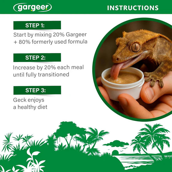 Gargeer premium crested gecko food instructions with gecko on hand enjoying a healthy meal