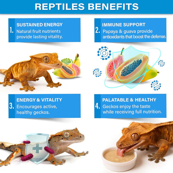 Gargeer premium crested gecko food with nutrients for energy and immune support, featuring fruits and health benefits