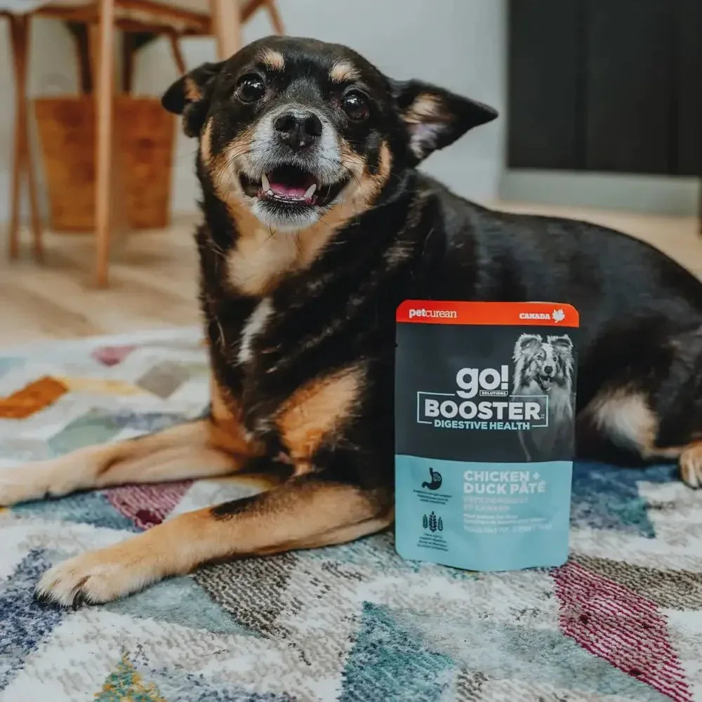 Go! Solutions Booster Digestive Health Chicken & Duck Pate Wet Dog Food 24ea/2.8 oz - Talis Us