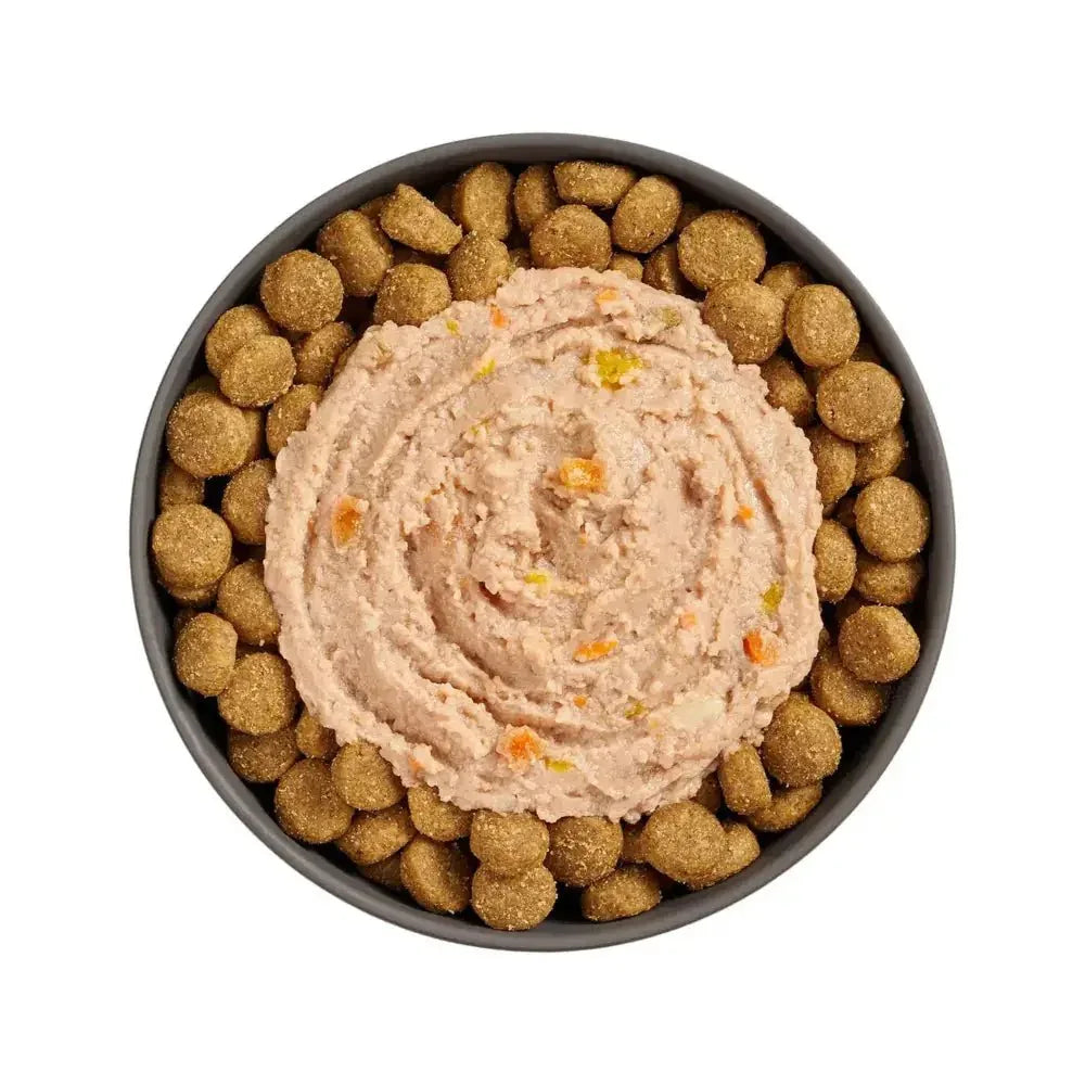 Go! Solutions Booster Digestive Health Chicken & Duck Pate Wet Dog Food 24ea/2.8 oz - Talis Us