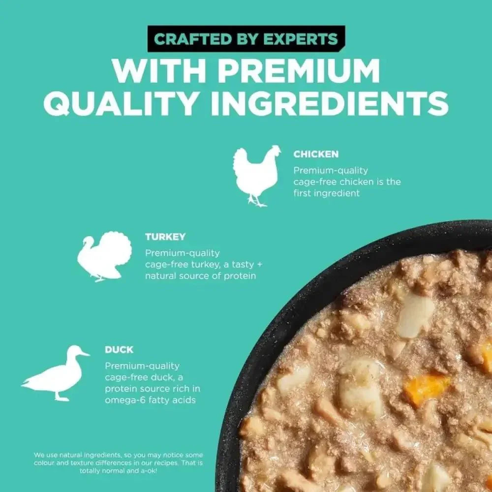 Go! Solutions Carnivore Grain - Free Chicken, Turkey & Duck Stew Dog Food 12ea/12.5 oz - Talis Us