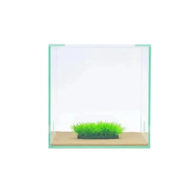 Grass stone – 3cm - Talis Us