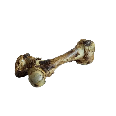 Home Range Beef Cured Dino Bones for Dogs Chew - Talis Us