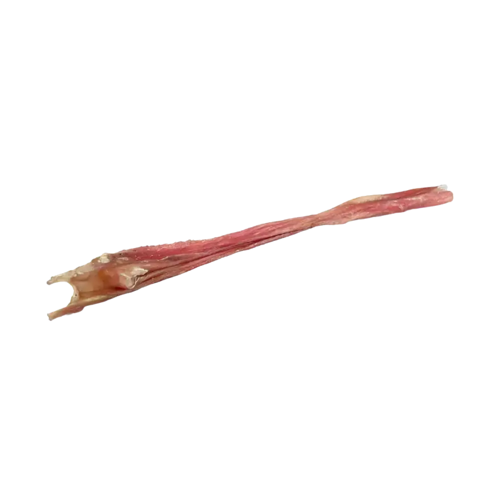 Home Range Fursbee Bladder Stick All Natural Dog Treat 12" 50cs - Talis Us