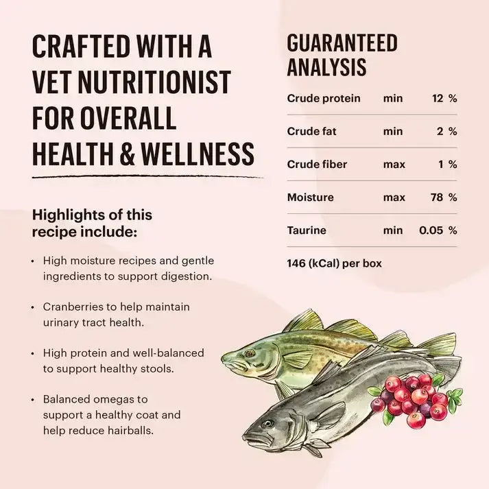 The Honest Kitchen Cate Grain Free Salmon & Cod Pate Wet Cat Food 12/5.5oz The Honest Kitchen