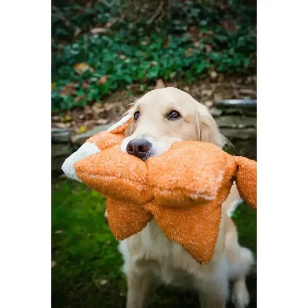 HuggleHounds Squooshies Durable Plush Squeaky Dog Toy - Talis Us
