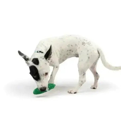 Huxley & Kent Tiny Tuff Dell Pickle Puppy Toys - Talis Us