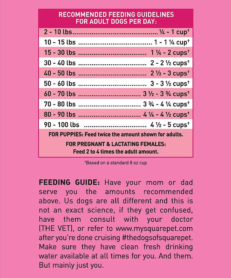 SquarePet VFS Ideal Digestion Dry Dog Food