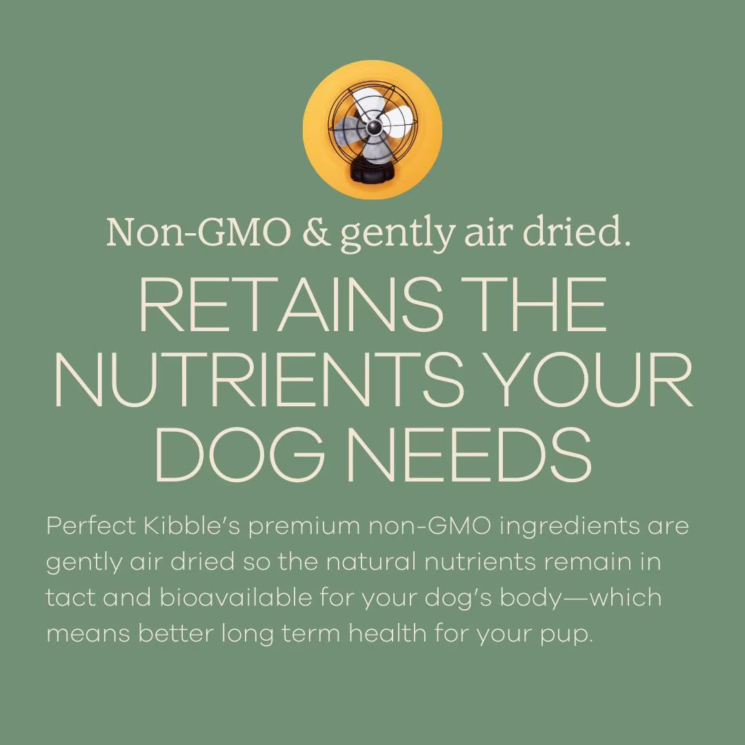 Yumwoof Natural Pet Food Perfect Kibble Gut Health Coconut Chicken Air-Dried Dog Food