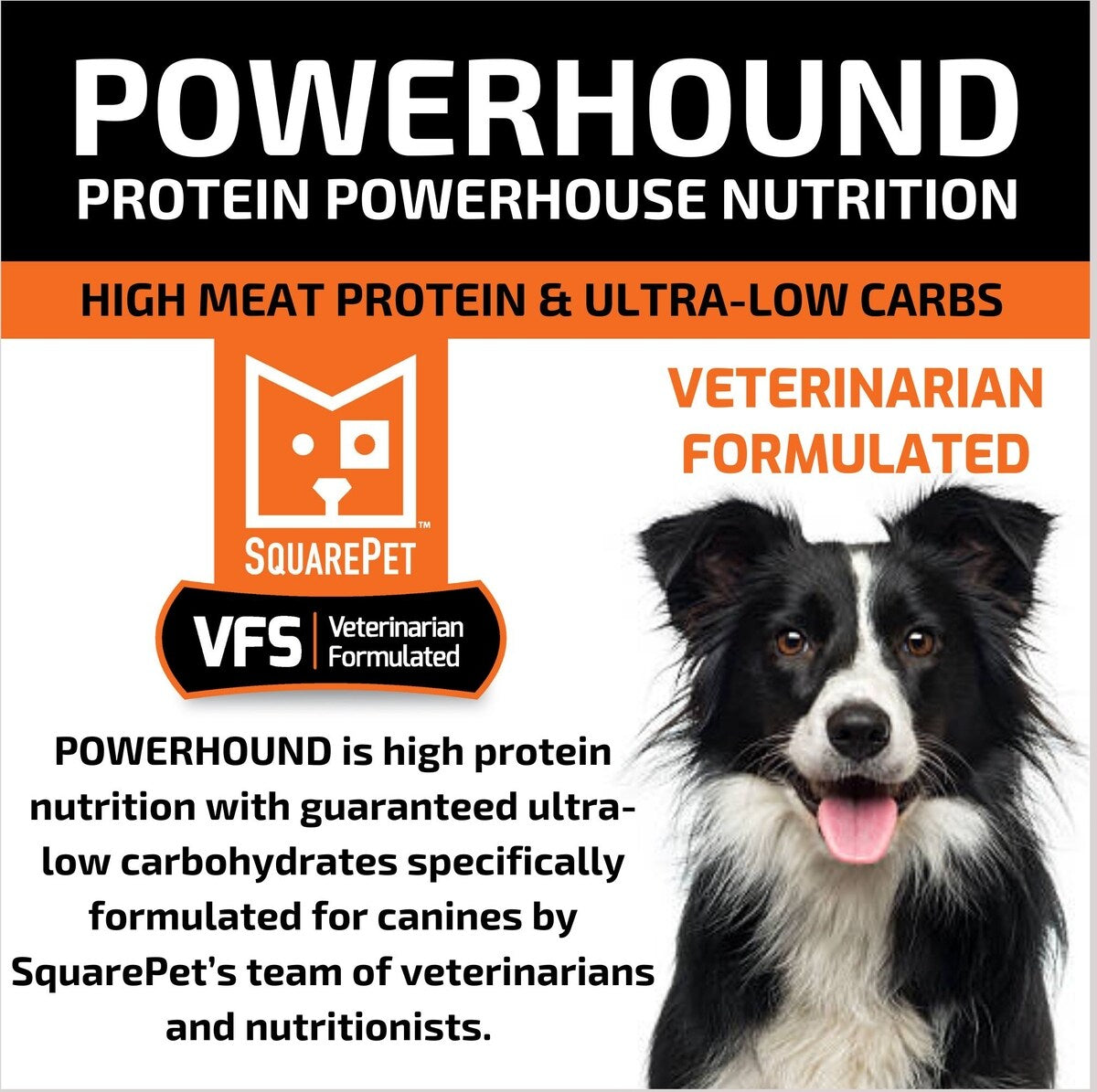 Close-up of SquarePet PowerHound dog food bag showing a happy Border Collie, with detailed product info on high protein, vet-formulated