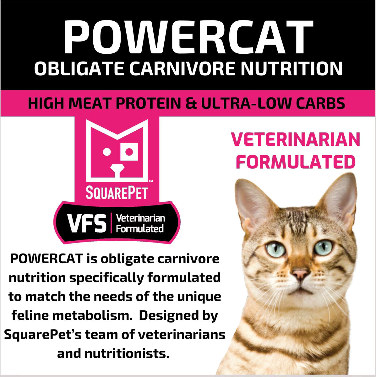 Close-up of SquarePet PowerCat label highlighting high meat protein, ultra-low carbs, and veterinarian formulated cat food