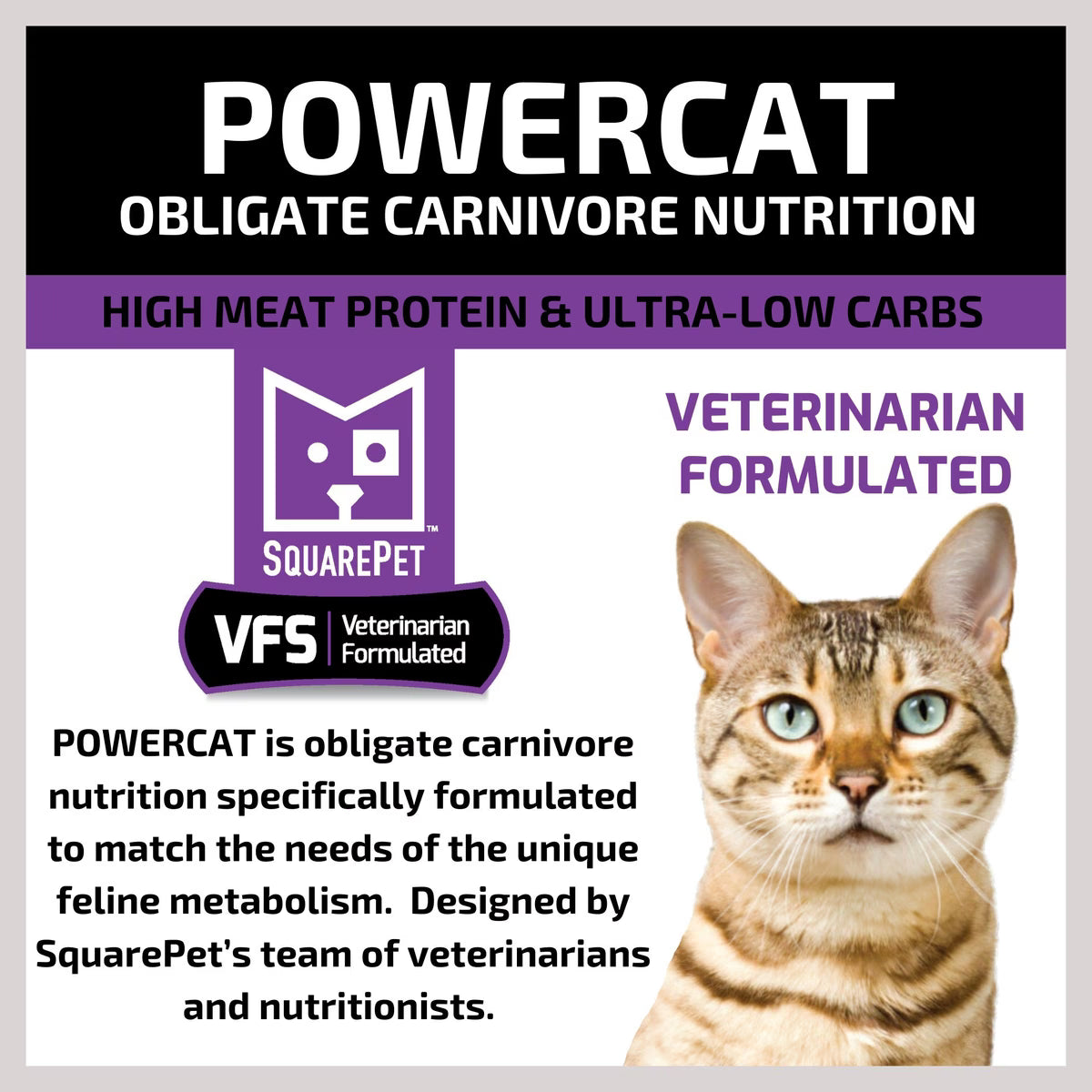 SquarePet VFS PowerCat Turkey & Chicken High Protein Dry Cat Food