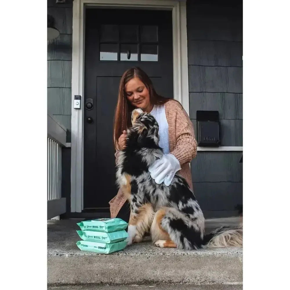 Injoya Pet Glove Wipes Unscented - Talis Us