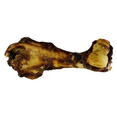 Jones Natural Chews Dino Bone Dog Treat - Talis Us