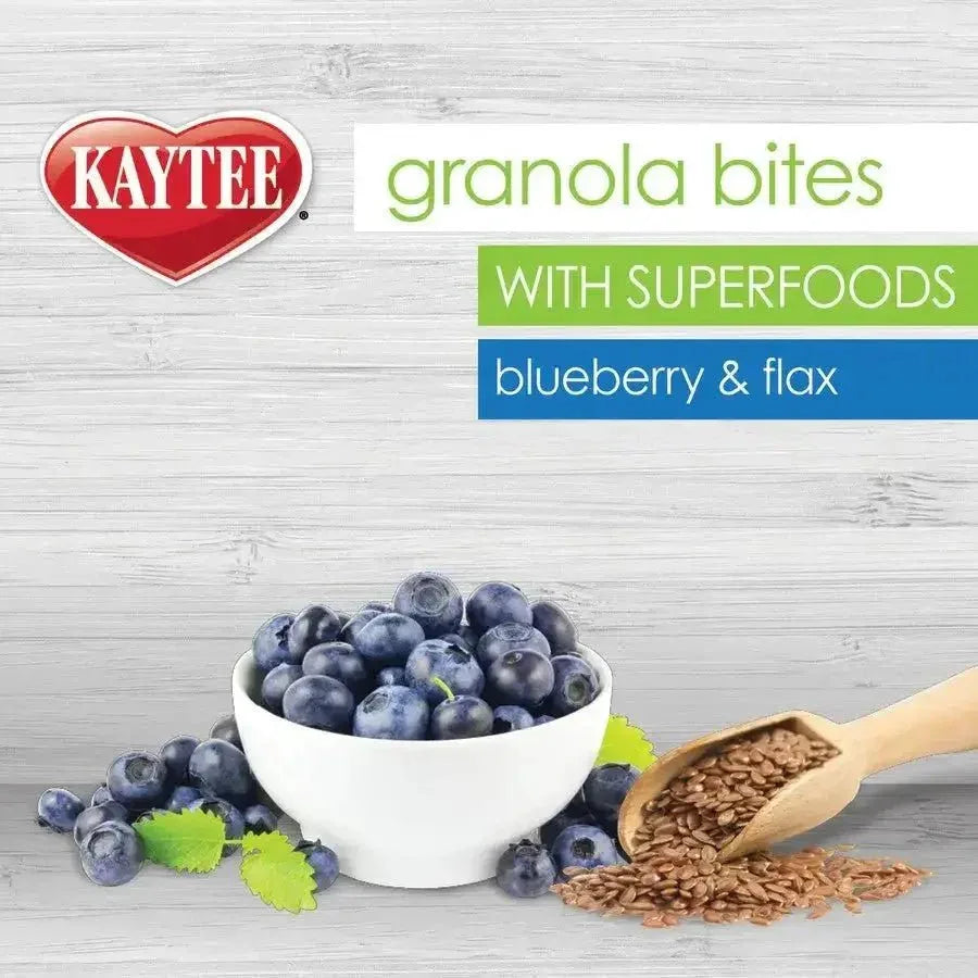 Kaytee Granola BItes Berry and Flax Bird Treats - Talis Us