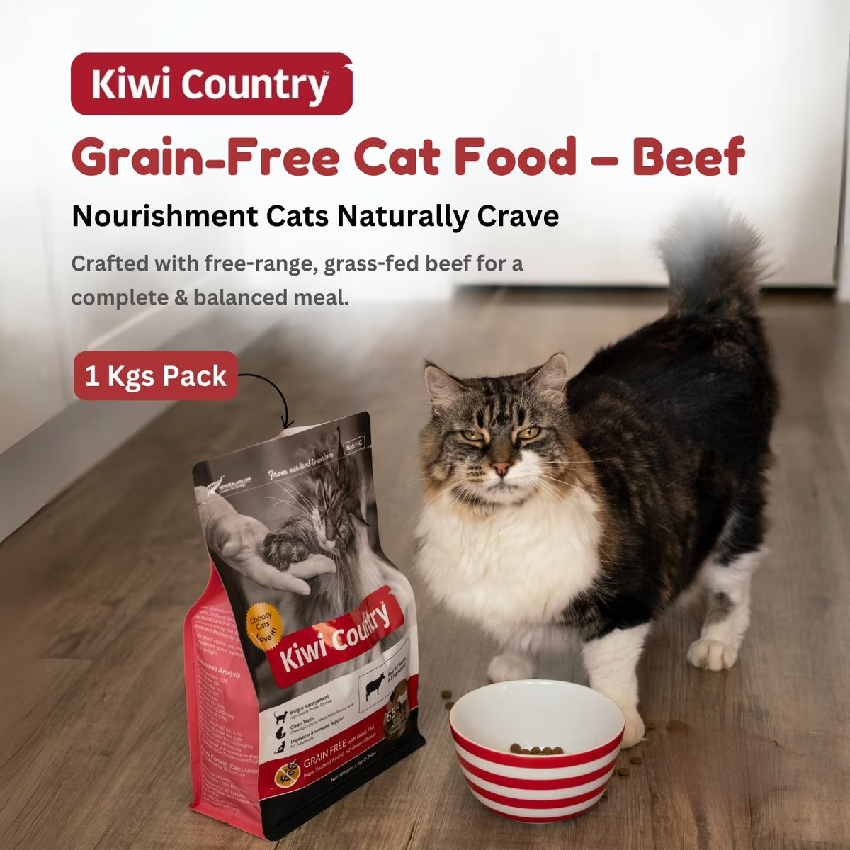 Kiwi Country grain free beef cat food in a 1 kg pack with a cat ready to eat from a bowl
