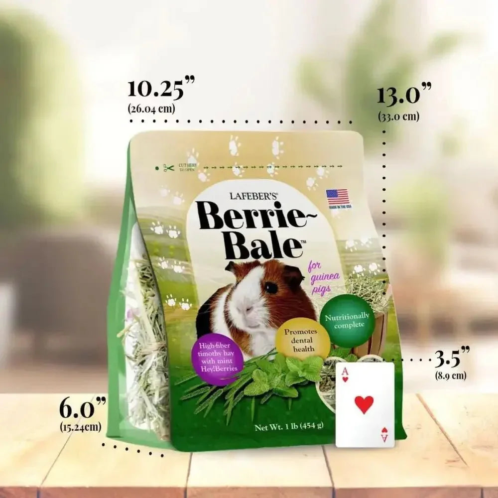 Lafeber Company Berrie - Bale for Guinea Pigs Mint 1 lb - Talis Us
