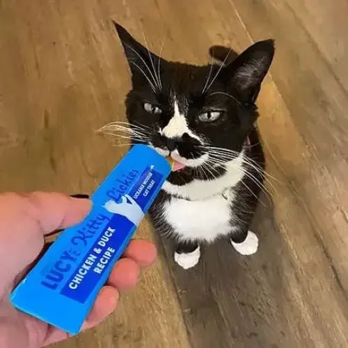 Lucy Pet Products Kitty Lickies Mousse Cat Treat - Talis Us