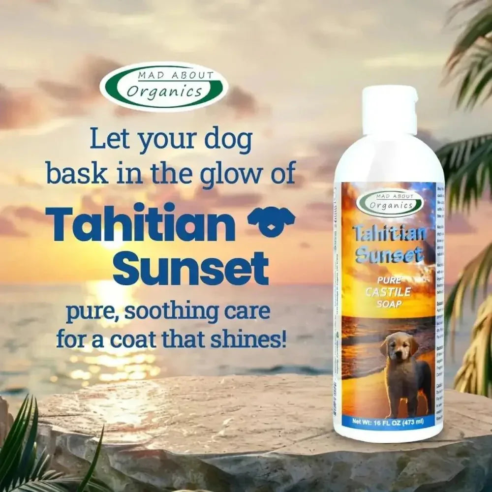 Mad About Organics Tahitian Sunset Dog Shampoo 16oz - Talis Us